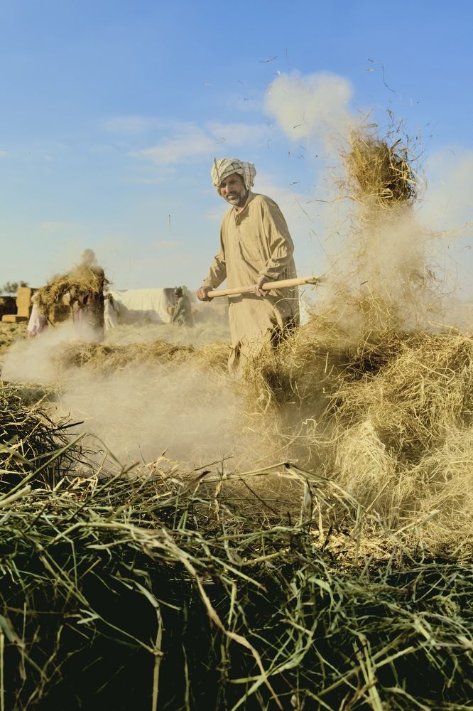 Photograph by Rino Suren