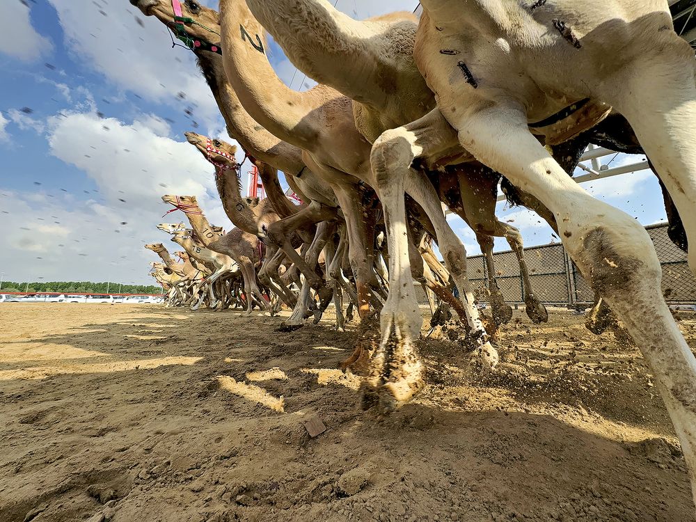 Photograph by Rino Suren