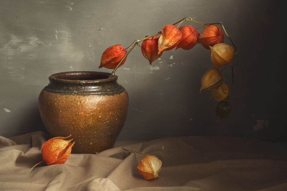 Photograph by Вышарь Максим