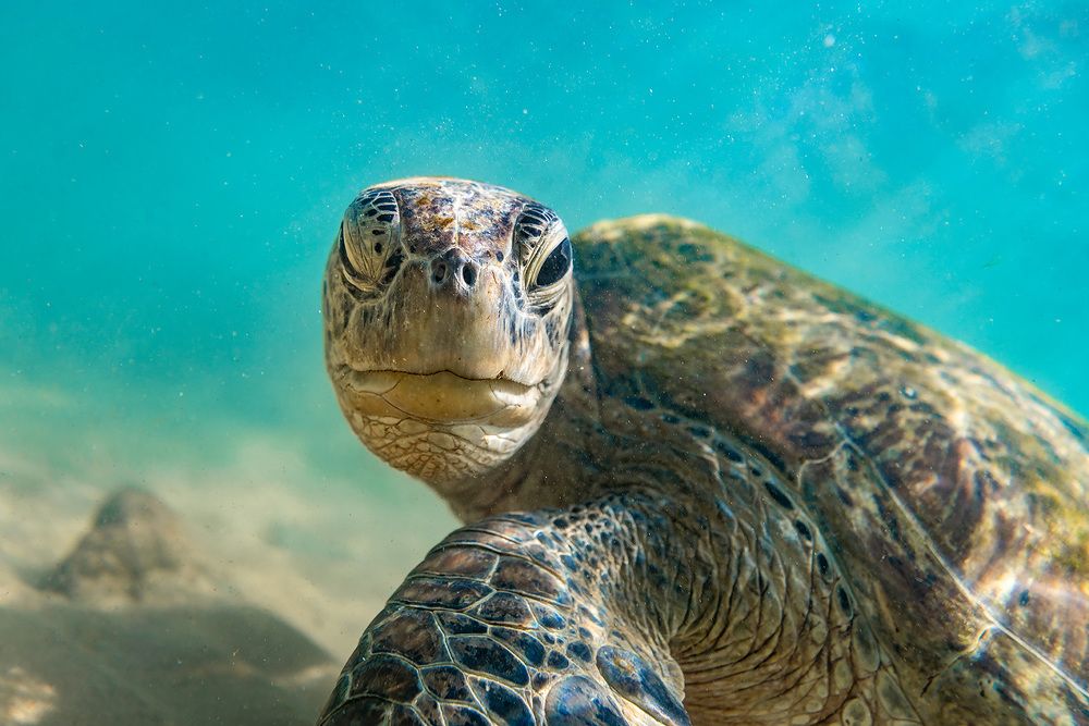 Underwater selfie ;-)