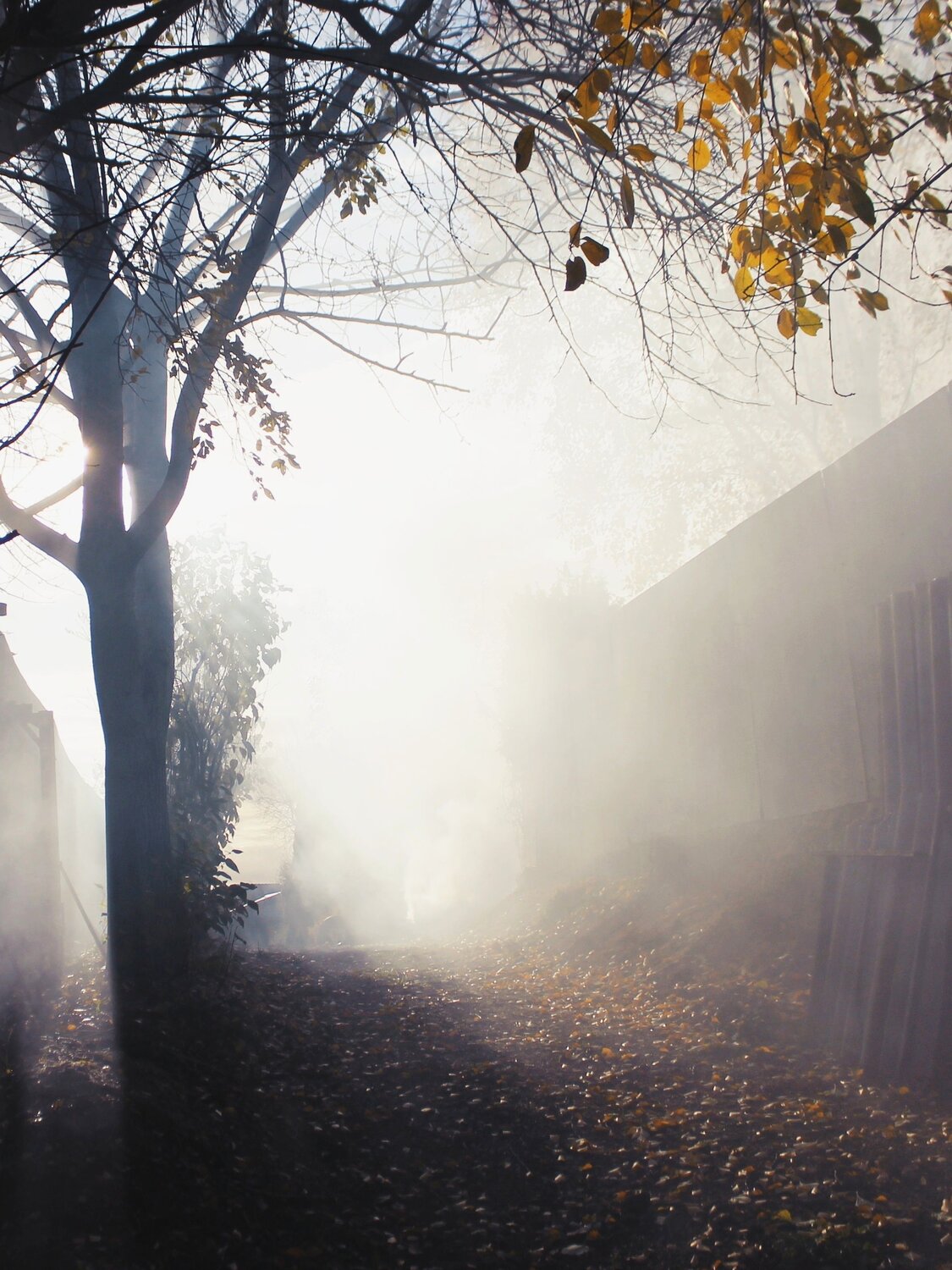 Photo #10397877