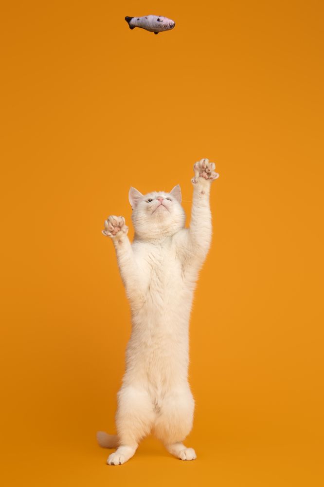 Photograph by Annette Hagemeijer