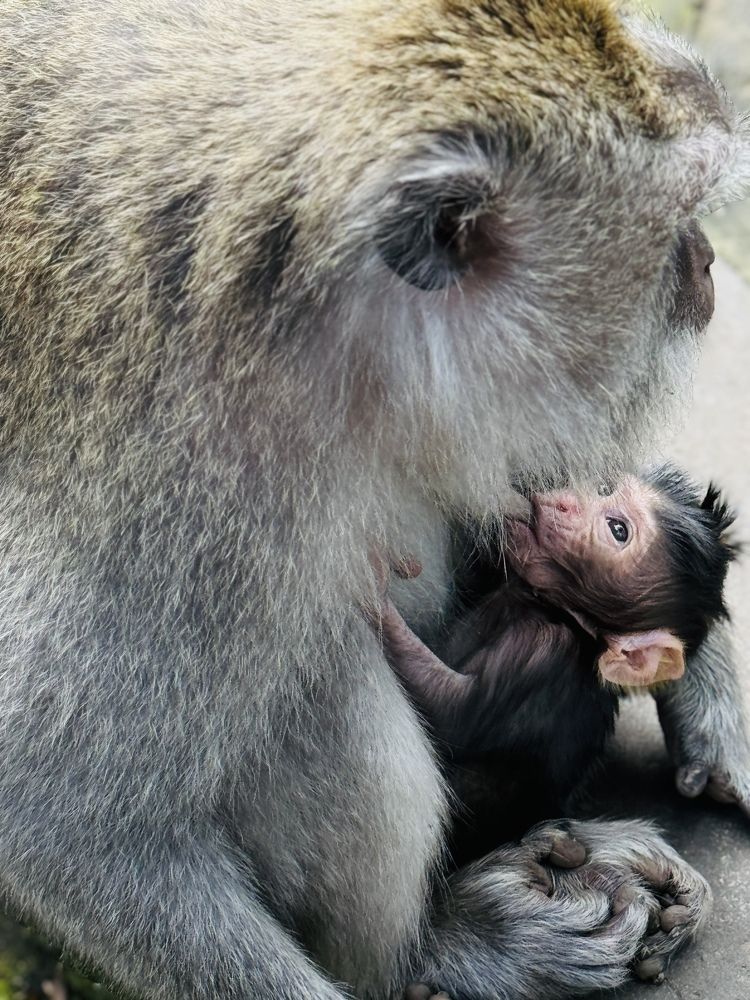 Photograph by Rino Suren