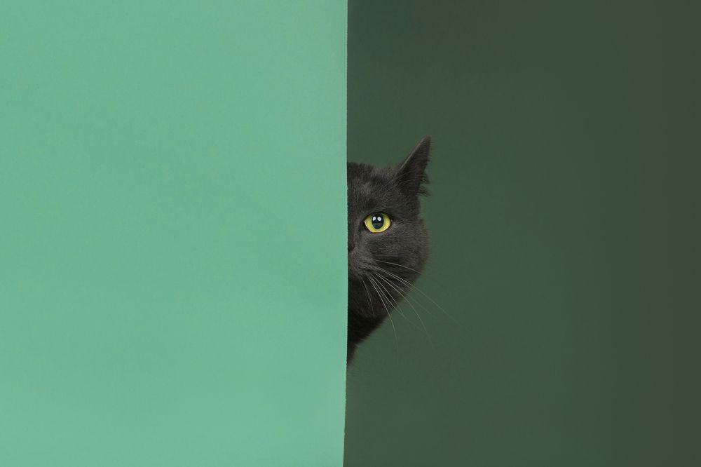 Photograph by Annette Hagemeijer