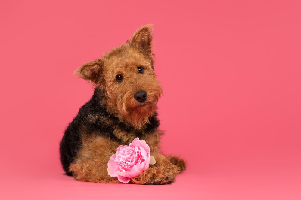 Photograph by Annette Hagemeijer