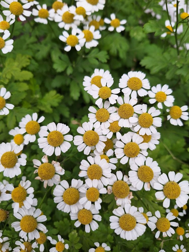 Photograph by Оксана Антипова