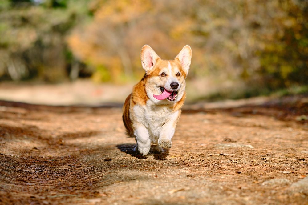 Photograph by Станислав Дроздов