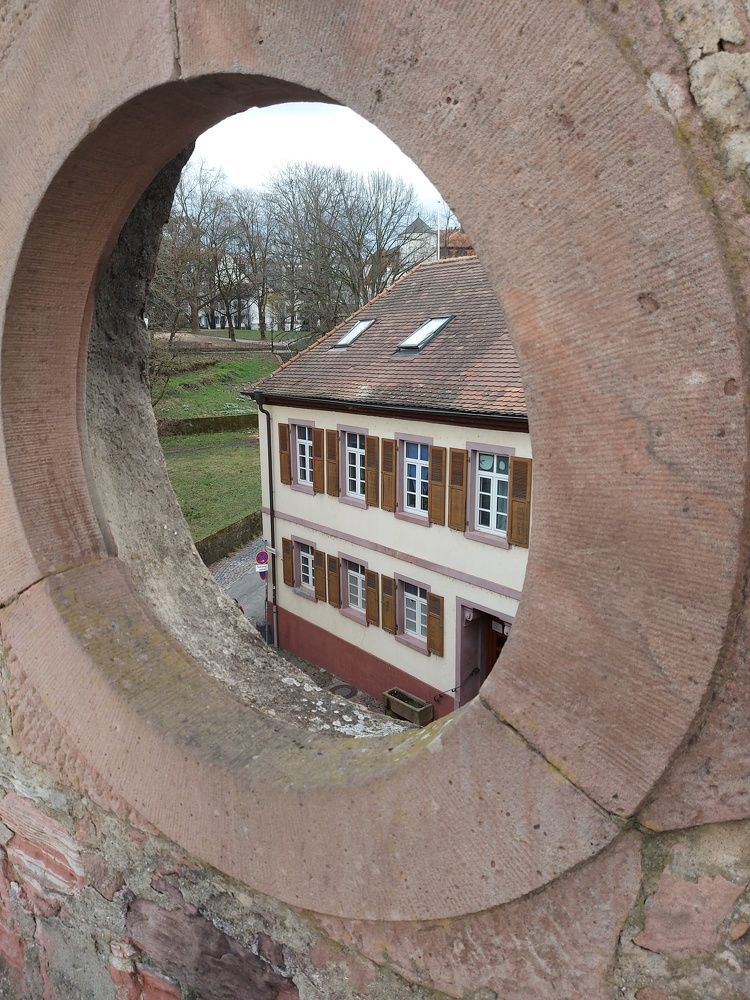 Photograph by Yurii Tofan