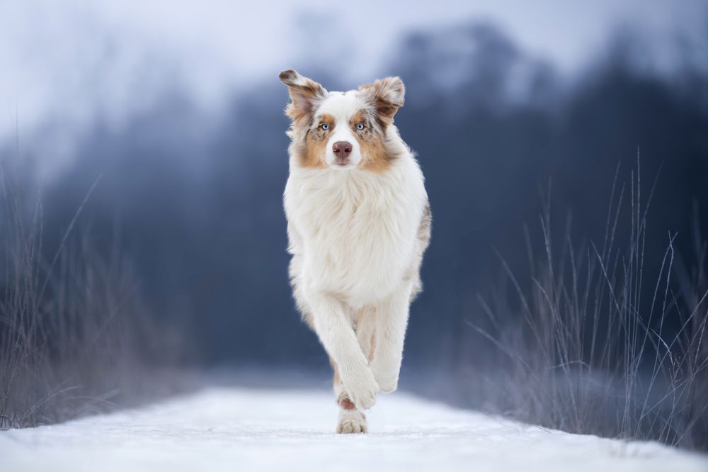 Photograph by Annette Hagemeijer