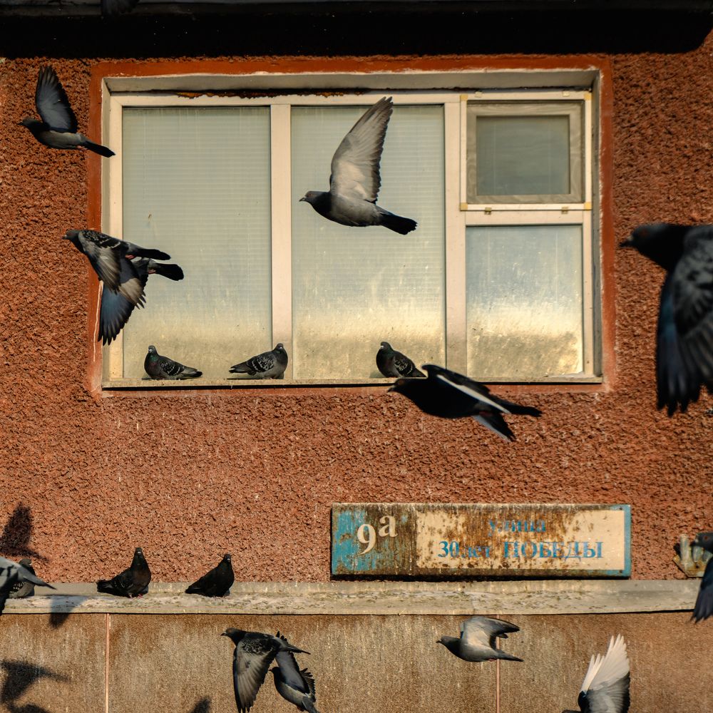 Photograph by Антон Вотяков