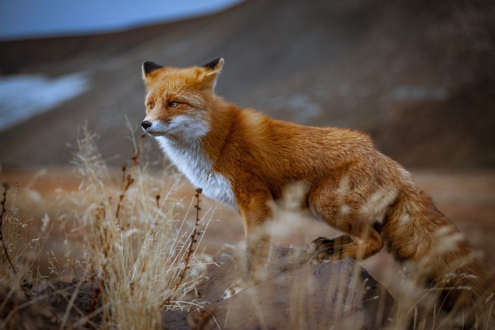 Photograph by Алия Султан