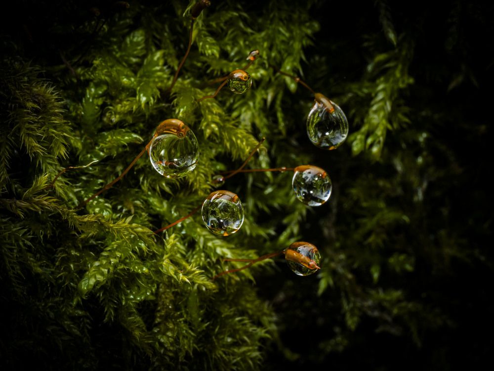 Photograph by Serdar AVCI