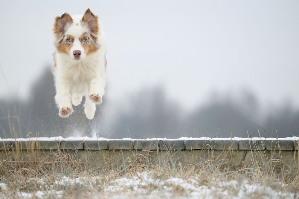 Photograph by Annette Hagemeijer