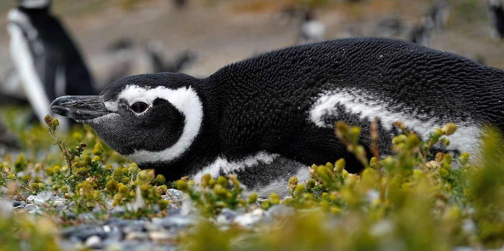 It's better to lie down than stand...