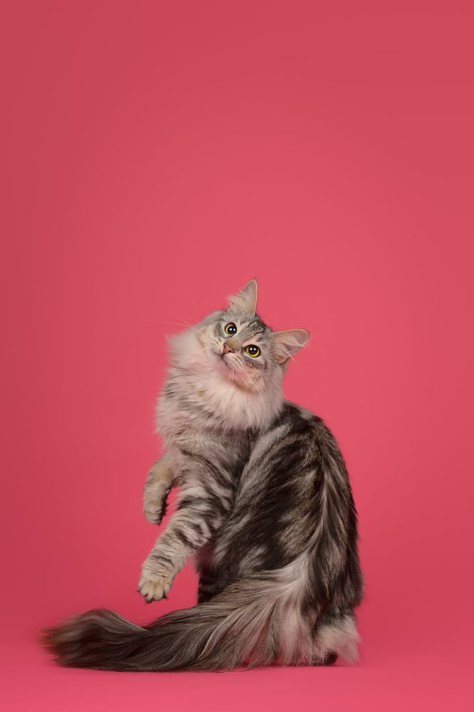 Photograph by Annette Hagemeijer