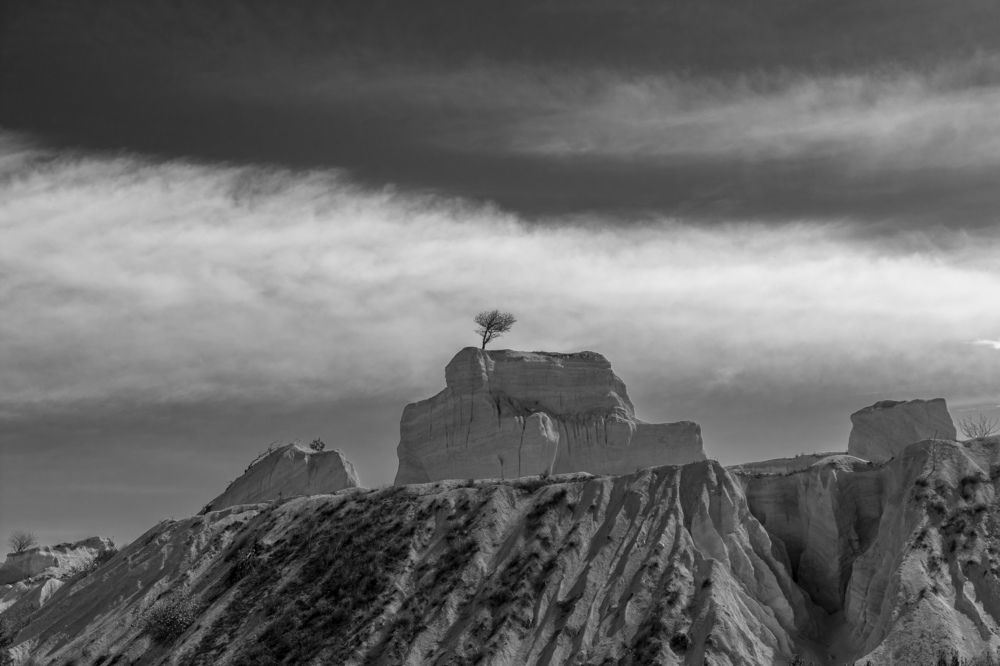 Фотография автора Ирина Зайцева