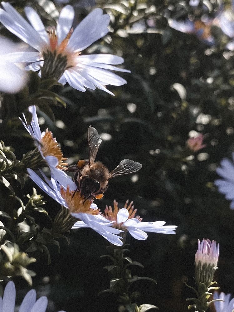 Photograph by Наталия Столяр