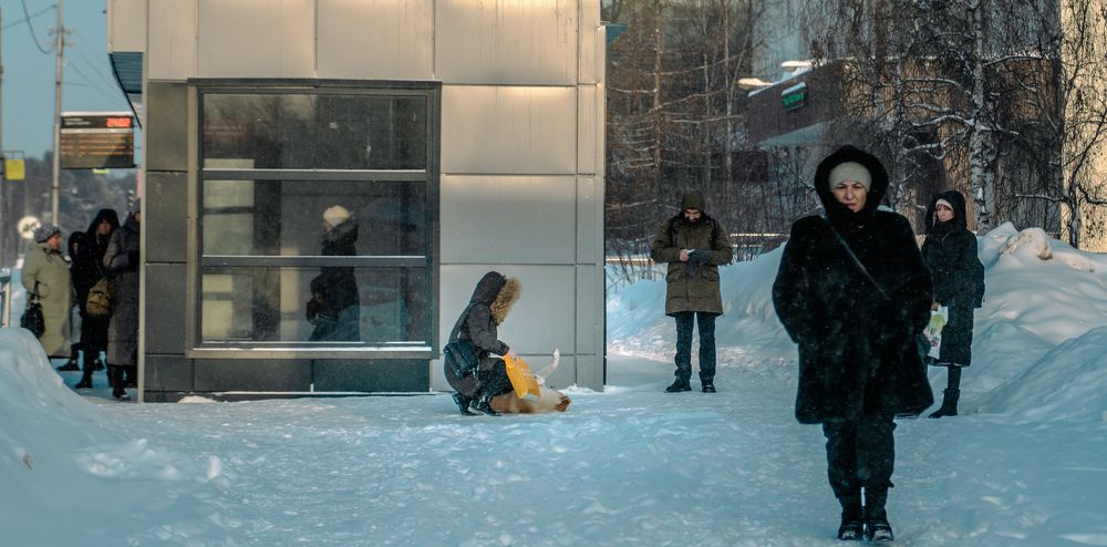 Photograph by Антон Вотяков