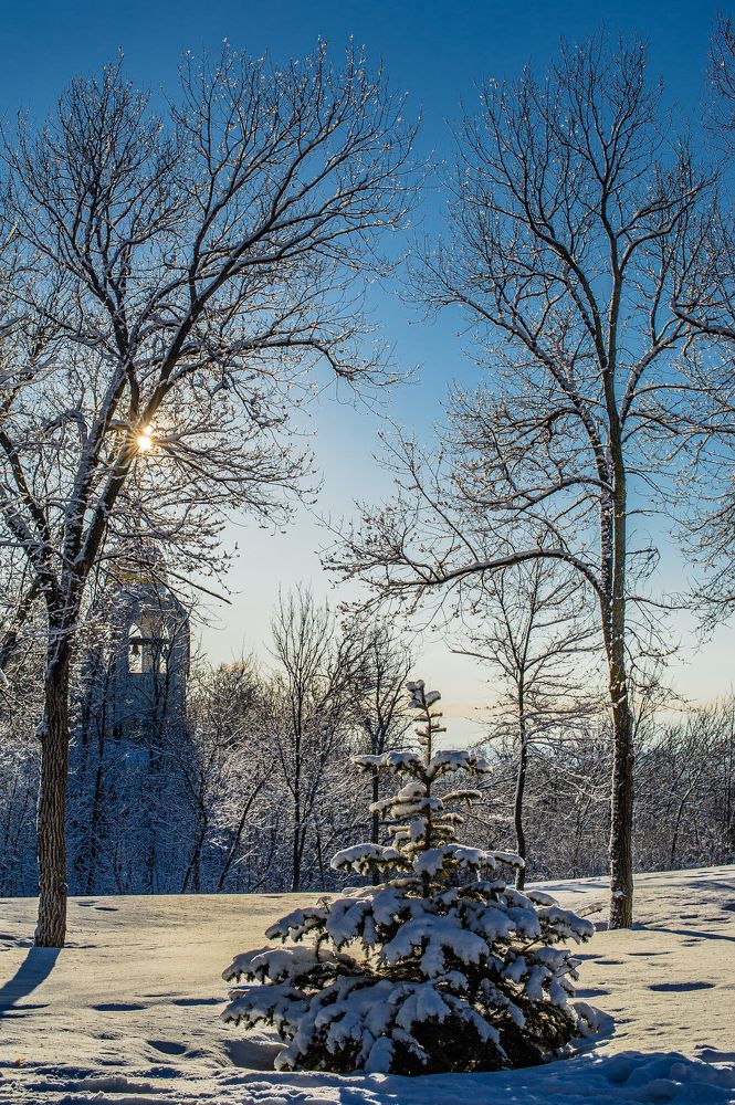 Photograph by Васильев Роман