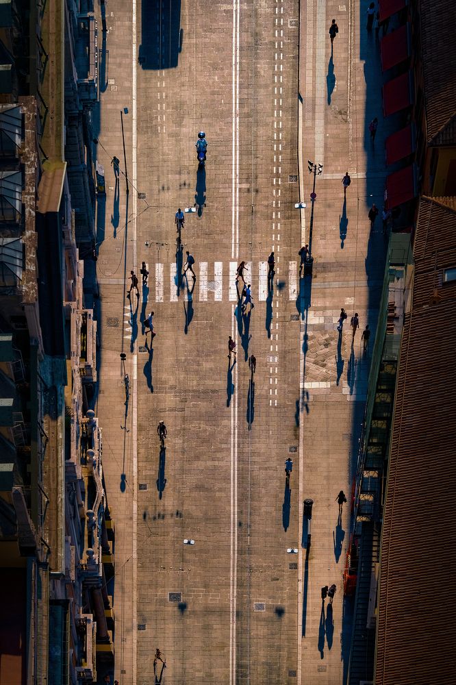 Фотография автора Mojtaba Chenari