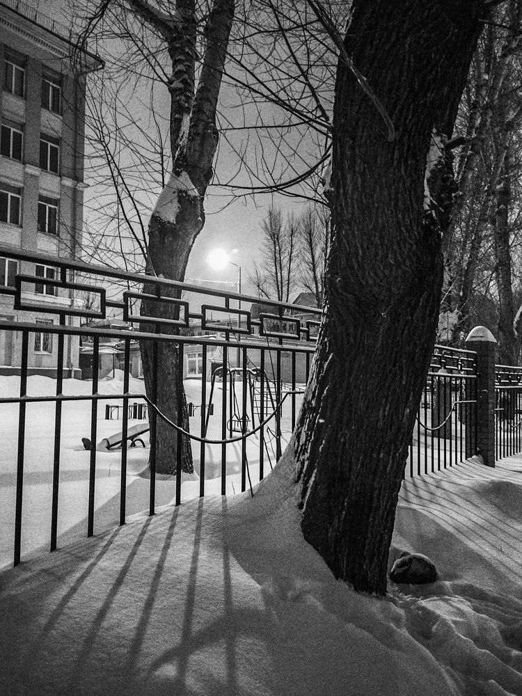 Photograph by Sergey Kurkov-Tarkovsky