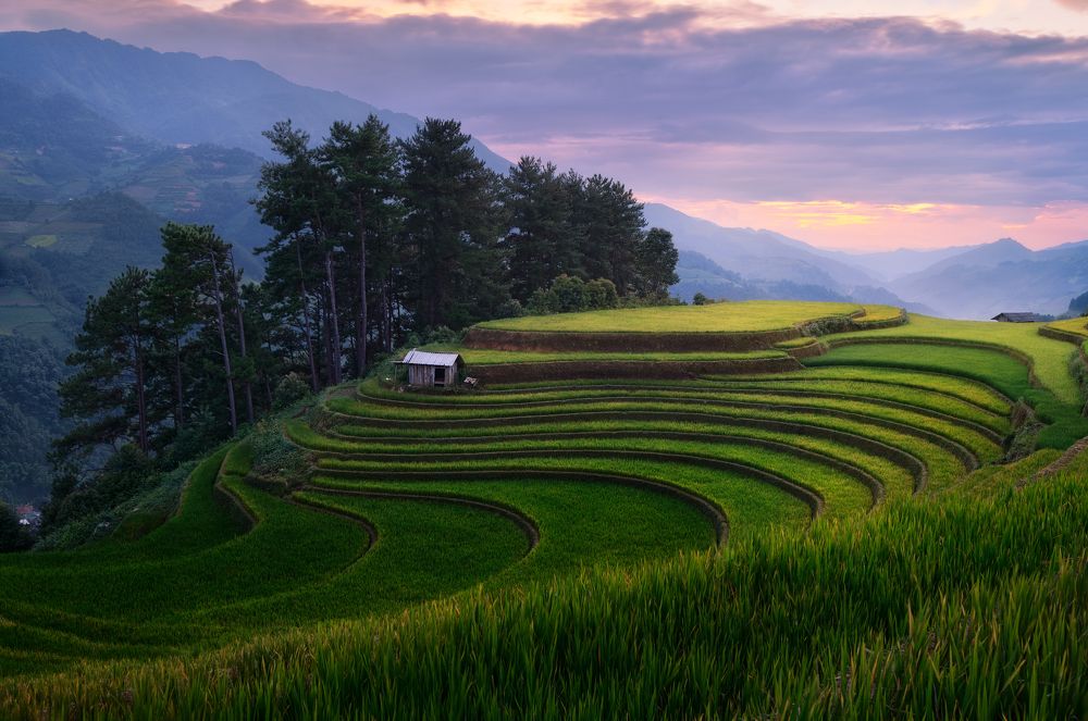 Photograph by Эрнест Вахеди