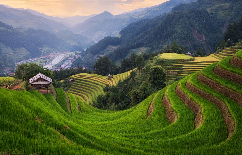 Photograph by Эрнест Вахеди