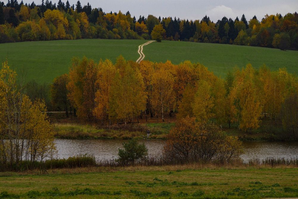 Осень в Мураново!