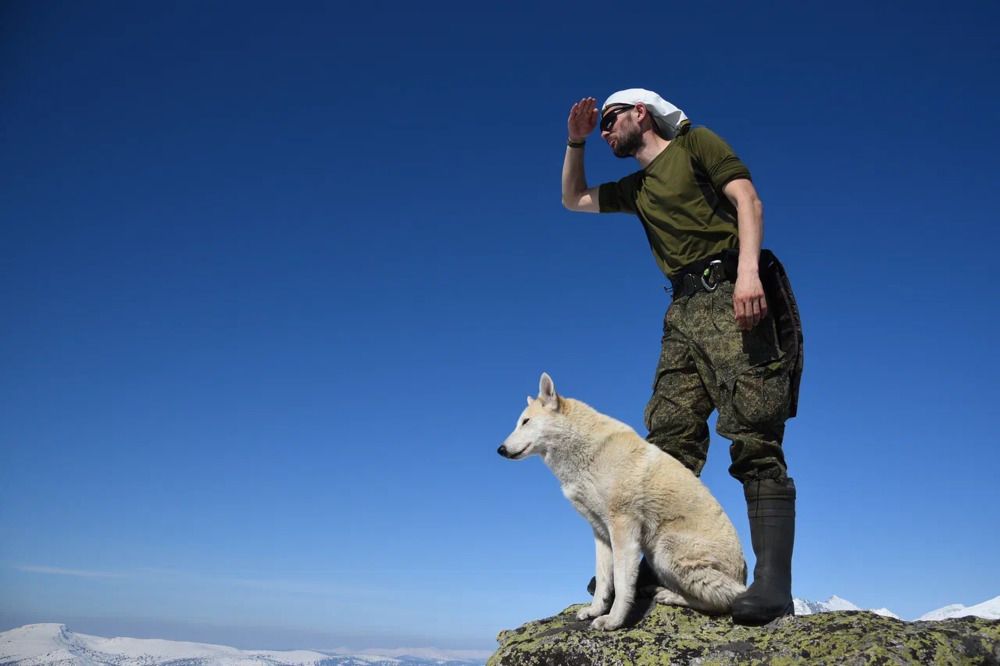 Свобода Поднебесных Зубьев
