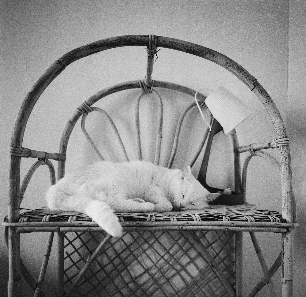 Фотография автора Natasha Tazbash