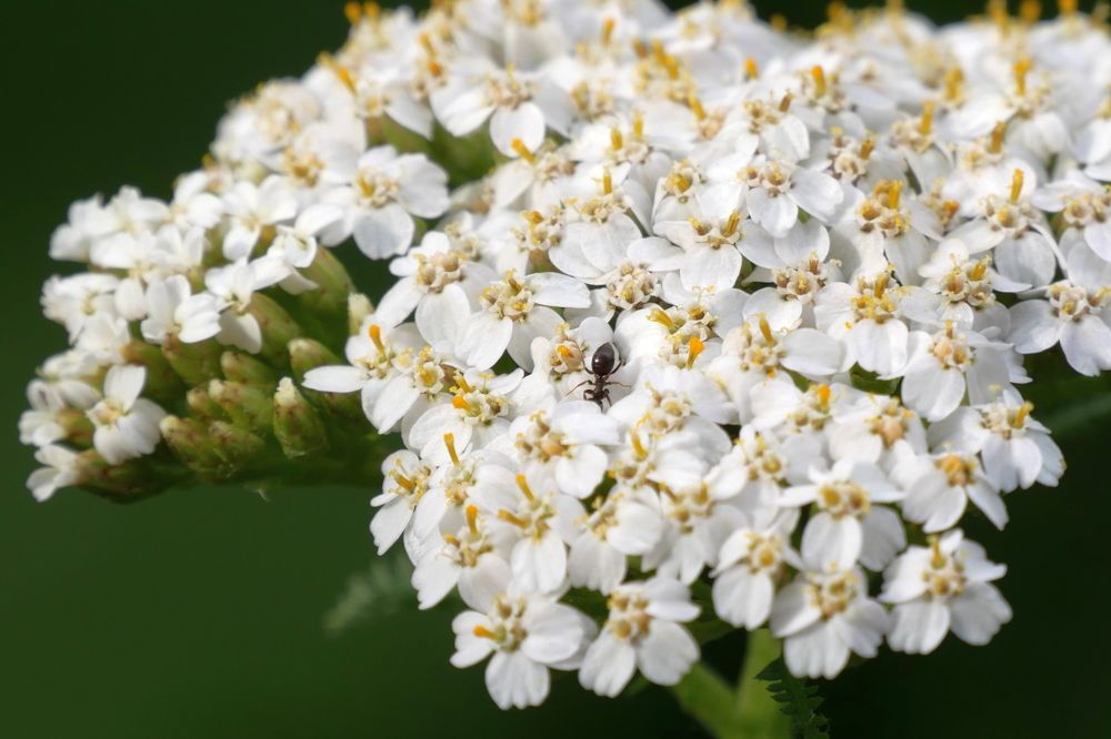 Photograph by Иван Скорик