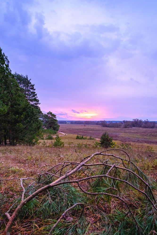 Photograph by Александр Корженков