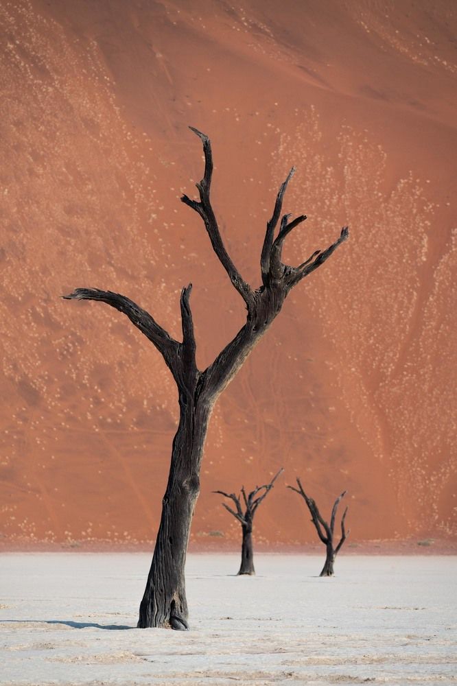 Photograph by Daniel Viñé Garcia