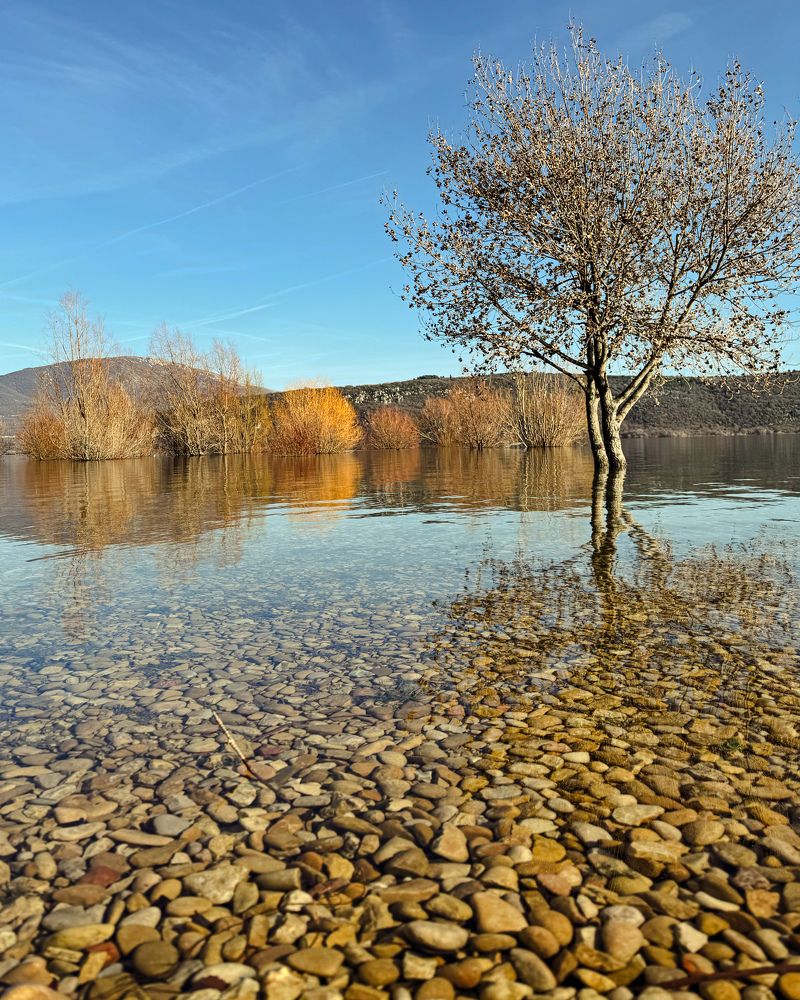 Photograph by Marina Odintsova