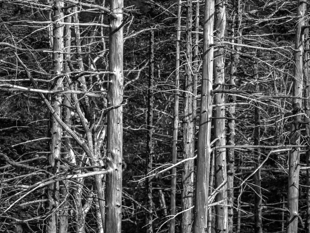 Photograph by Матвей Матвеев