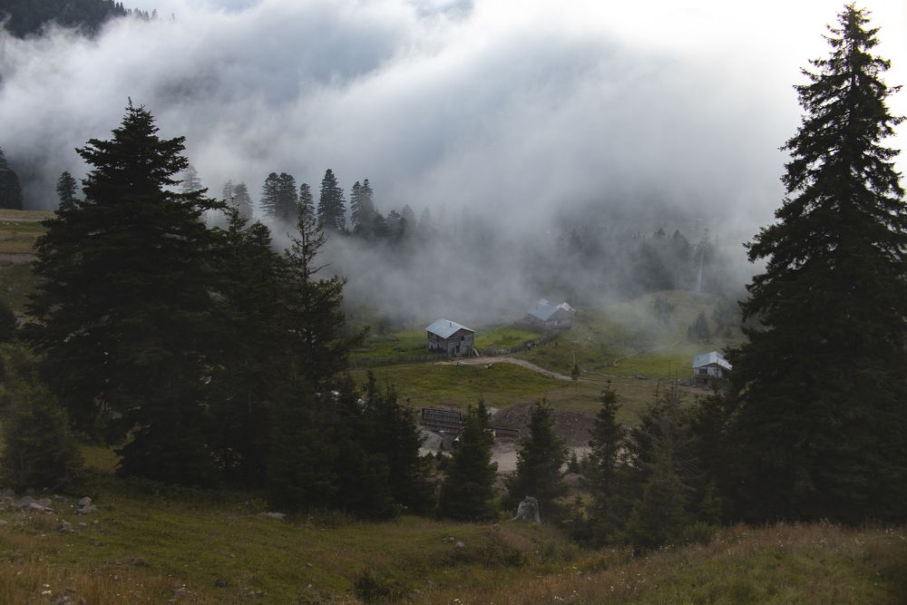 Фотография автора Vakhtangi Janjgava