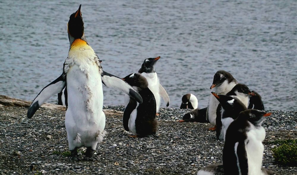 Photograph by Vladimir