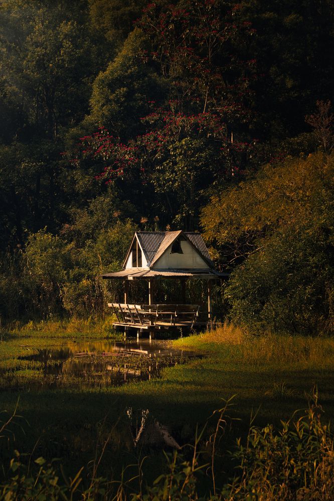 Photograph by Максим Кабанов