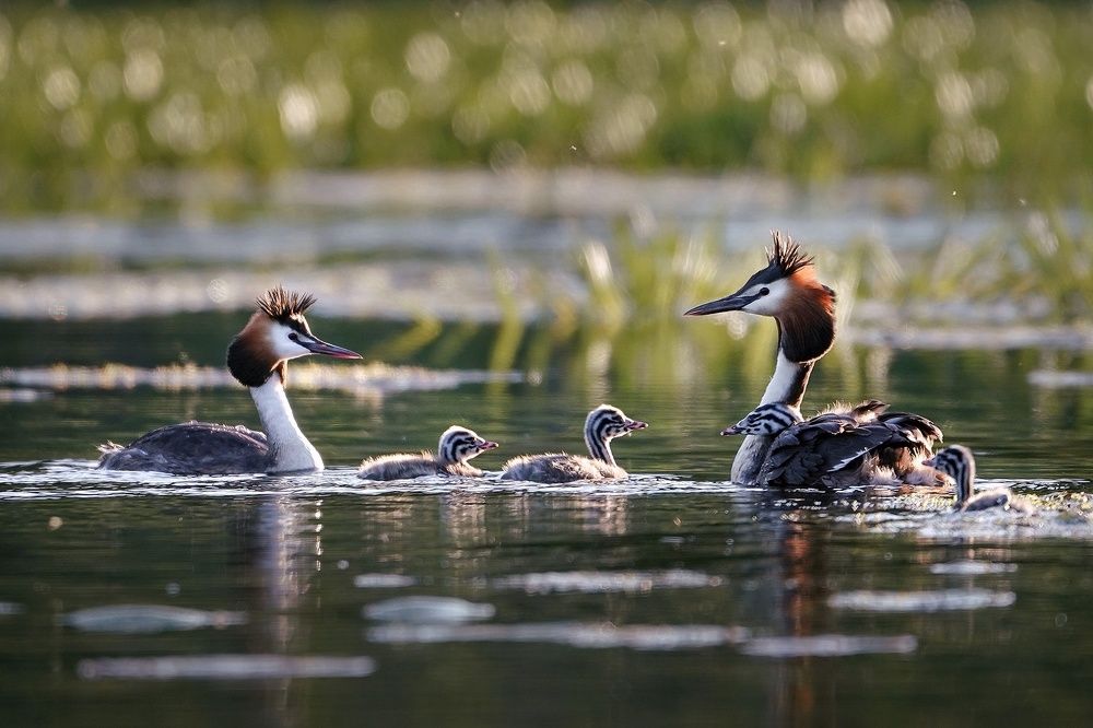 Photograph by Тябин Владислав