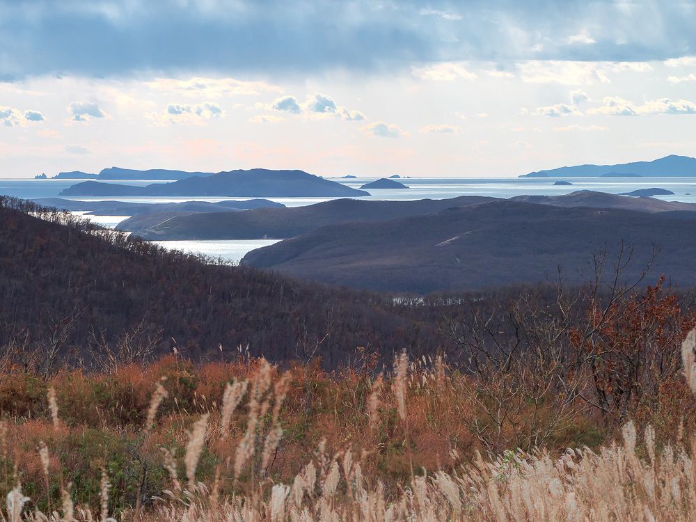 Photograph by Матвей Матвеев