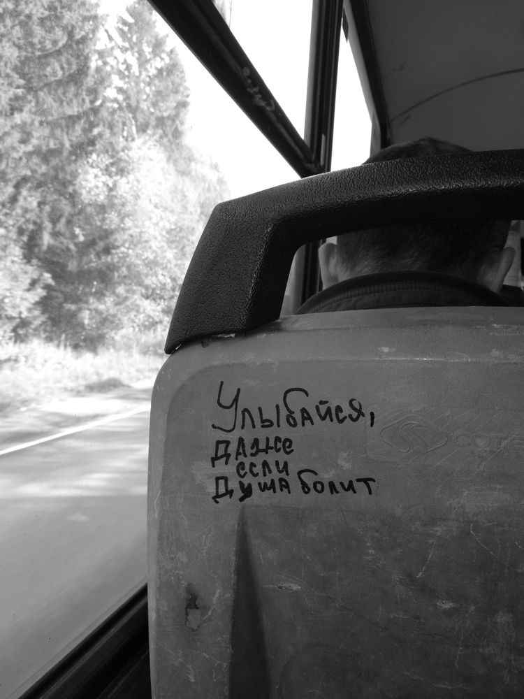 Photo #10398646