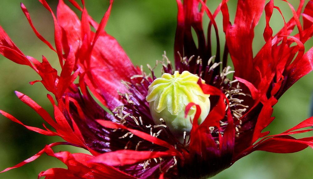 Photograph by Жанна Нечаева