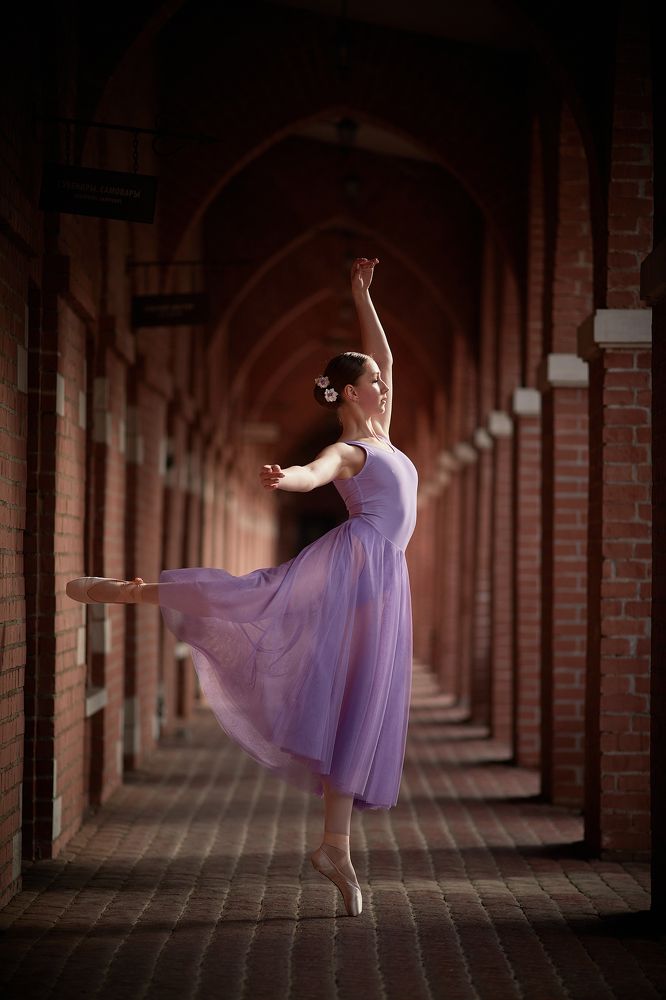 Фотография автора Андрей Алдошин