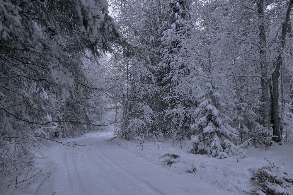 Photograph by Дымова Вера