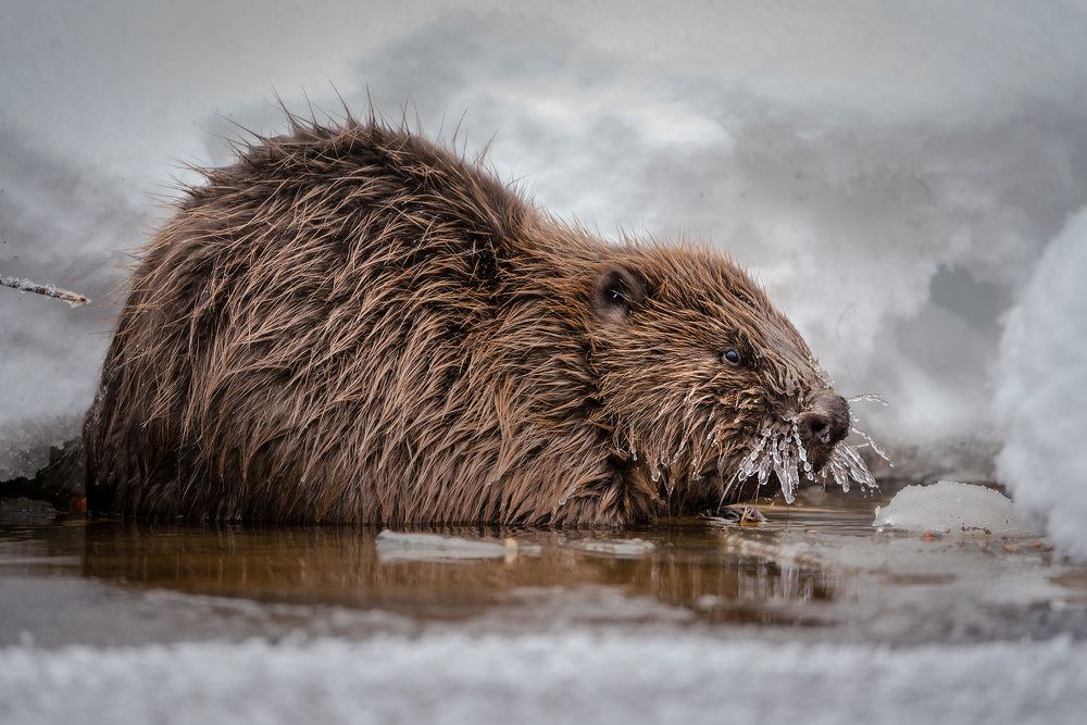 Photograph by Тябин Владислав