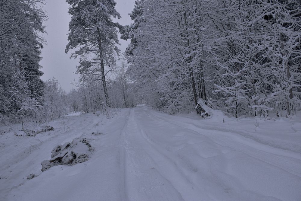 Photograph by Дымова Вера