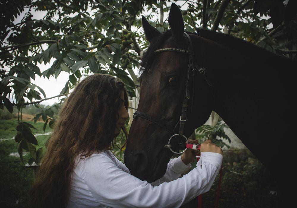Фотография автора Vakhtangi Janjgava