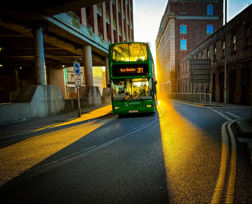 Photograph by Chamara Chathuranga