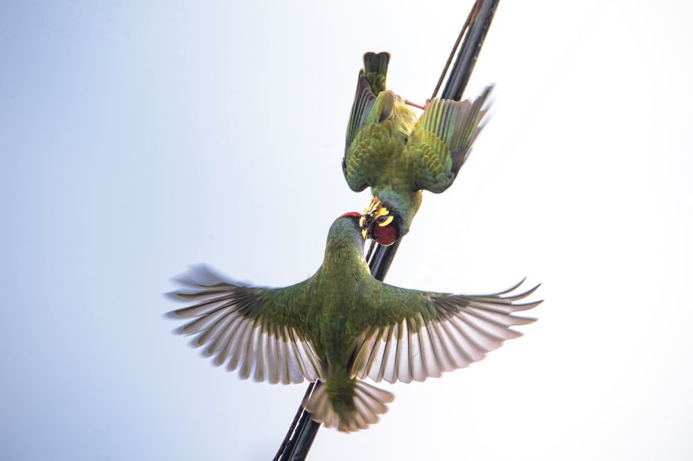 Photograph by TRAN HAI DUONG