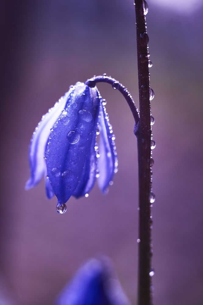 Фотография автора Андрей Алдошин